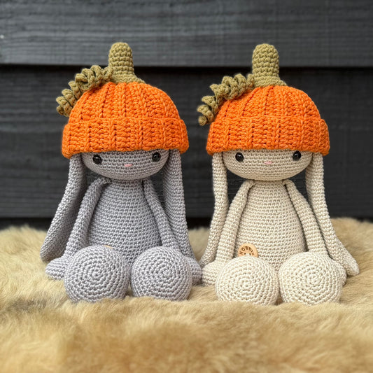 GRATIS Haakpatroon pumpkin muts Bibi