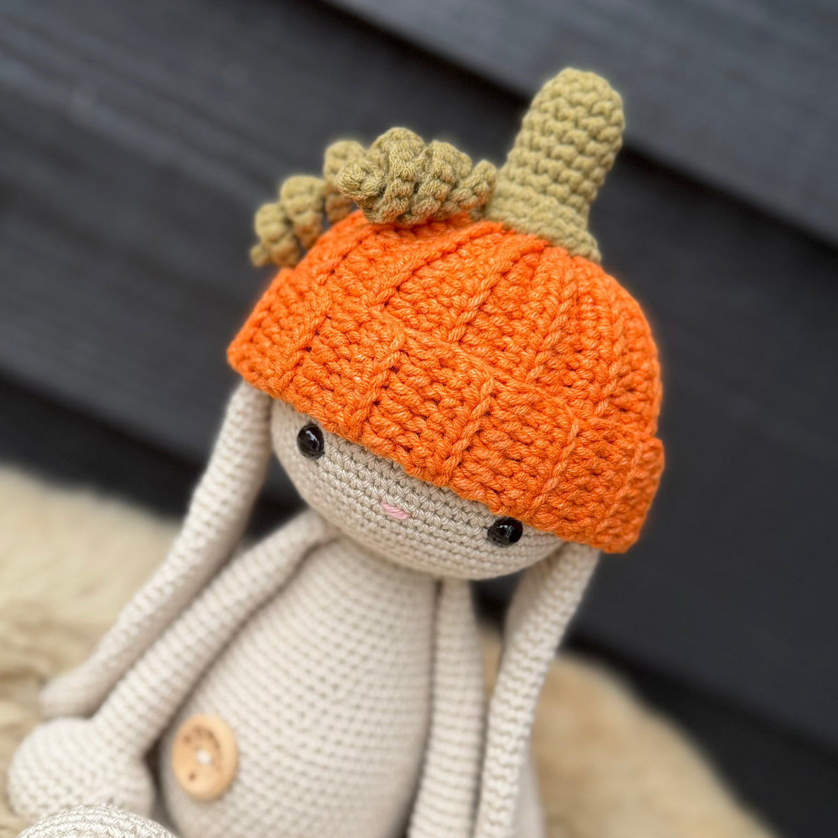 GRATIS Haakpatroon pumpkin muts Bibi