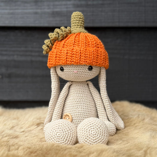 GRATIS Haakpatroon pumpkin muts Bibi